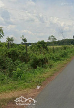 bán đất tại thị trấn tân khai, hớn quản, bình phước, giá cực chất 2,1 tỷ, 700m2