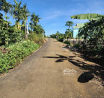 người quen nhờ bán giúp lô chính chủ gần ngay trung tâm hoà ninh