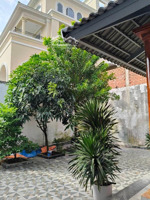 nhà c4 tiện xây biệt thự. 195m2 thổ cư ngang hơn 11m. hẻm thông 5m cách mt 100m. giá 10,8tỷ tl