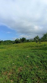 chính chủ gửi bán lô đất 3600m full thổ cư tại kim bôi hòa bình