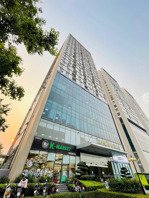 văn phòng ngoại giao đoàn 350m2 | 50 - 80 nhân sự | đẹp như phim