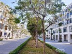 bán liền kề trục đường 30m khu anh quốc dự án hinode royal park. dt 100m2 giá 22 tỷ. lh: 