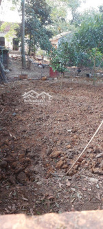 anh trai wm co việc cần tiền bán nhanh mảnh đất phun thổ cư