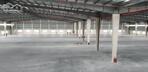 CHO THUÊ KHO XƯỞNG MỚI KCN PHÚ MỸ, BRVT 10.000M2, 20.000M2, 30.000M2, 50.000M2...GẦN CẢNG CÁI MÉP