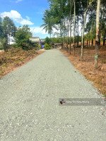 260tr__đường ô tô chà là,tây ninh 5x28m full thổ