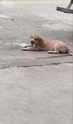 NHÀ ĐẸP NGAY TRUNG TÂM _ HẢI PHÒNG _ 4 TẦNG _ 3PN _ GIÁ: 7.95 TỶ