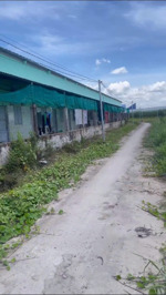 đất ấp 1, xã nhị thành, thủ thừa, long an, giá 1tỷ5