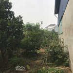 bán đất tại xã quang hà, phú xuyên, hà nội, giá 1,5 tỷ, 50m2, mặt tiền 5m. giá tốt, vị trí đẹp