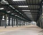 CHO THUÊ NHÀ XƯỞNG ĐỨC HÒA, LONG AN 4500M2 GIÁ RẺ 150TR- ĐƯỜNG CONTAINER