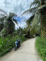 439 triệu sở hữu 489m² đất vườn dừa tân phú đông quy hoạch thổ cư, đường xe tải