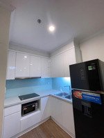chính chủ cho thuê nhà chung cư mới vingroup park hill p6, tầng 11, 85m2, 2 phòng ngủ,2vs