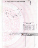 bán lô góc đối diện công viên kđt an bình tân, sổ cá nhân