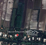 bán đất vườn đang trồng mít, diện tích 8000m2 thuận lợi làm trang trại. đất có 12m mặt tiền