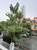 bán căn biệt thự đẹp 10x18m 1 trệt 3 lầu khu compound giá bán chỉ 37 tỷ