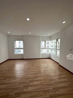 bán gấp căn hộ b10.15 diamond riverside, 3pn, 2wc, 88m2, giá ưu đãi 3,95 tỷ tại võ văn kiệt, q6,hcm