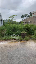 chính chủ bán đất tại xã hòa ninh, hòa vang, đà nẵng, 2,4 tỷ, 300m2 chỉ với giá ưu đãi