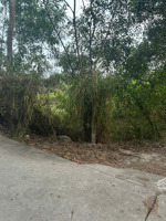 21x61(1305m2) hẻm nguyễn du tân phước lagi gần biển giá 1.350 tỷ