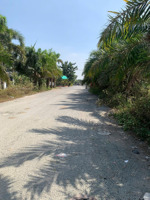 đất khu dân cư bình điền long định