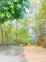 Bán lô Đồng Nưa, Định Trung, Vĩnh Yên Diện tích: 120m2 Mặt tiền: 6m