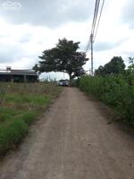 CHÍNH CHỦ CẦN BÁN GẤP LÔ ĐẤT THÍCH HỢP LÀM NGHỈ DƯỠNG NGAY XÃ TÂN VĂN, LÂM HÀ, LÂM ĐỒNG