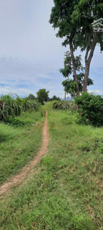 bán đất tại xã hồng liêm, hàm thuận bắc, bình thuận 1,85 tỷ, 5551 m2 bao đẹp uy tín