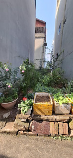 hiếm! lô đất 53m2, mặt tiền rộng, ô tô vào đất, ngõ thông, dân cư đông đúc, liên mạc