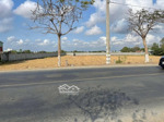 6000m2 đất lúa mặt tiền đường nhựa 826 thị trấn cần đước
