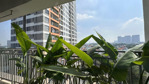 cho thuê cc 3pn, 3wc, 96m2, 27 triệu tại the sun avenue, an phú, q2, hcm