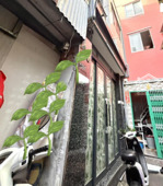 bán nhà đường tôn đản chỉ 3.3tỷ, 1/ ra mặt tiền xe hơi, lụt thông tôn thất thuyết, nguyễn tất thành