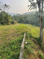 chính chủ cần bán lô đất nghỉ dưỡng 4248m/400m ont tại lương sơn giá chỉ 1,6tr/m2. đất bám suối.