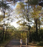 siêu phẩm đất nền mặt tiền trung tâm du lịch bờ nam thành phố huế. 470m2, 5,5 tỷ