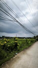 BÁN GẤP ĐẤT 8mx22m THỔ NGAY KCN VĨNH LỘC 2 – BẾN LỨC, LONG AN – GIÁ CHỈ 18TR/M2(TL), SHR