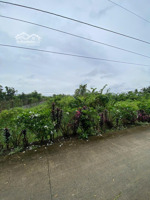 đất công giá rẻ - 1 triệu/m2 - tx cai lậy tiền giang cần bán gấp