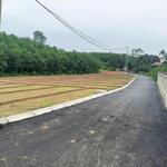 Bán đất An Bình, Lạc Thủy – kết nối Ba Sao Hà Nam & Bái Đính Ninh Bình – giá từ 195 triệu