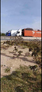 chuyển nhượng 4.761m² đất skc xây dựng nhà xưởng kho vận - quốc lộ 1a gần kcn phước nam