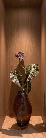 bán căn hộ đẹp nhất mỹ khánh, 3pn đầy đủ nội thất chỉ việc xách vali vào ở