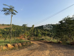 bán gấp lô siêu đẹp tại xã hoà ninh, di linh, lâm đồng, 1,25 tỷ