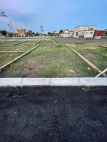 chính chủ bán lô đất nền quất lâm giá rẻ, đối diện kcn thịnh lâm - sẵn sổ đỏ sang tên