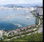 bán gấp đất nền 310m2 tại triệu quang phục, 15,5 tỷ giá siêu hời