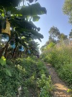 bán đất view bờ hồ sông ray góc nhựa 2mt ont