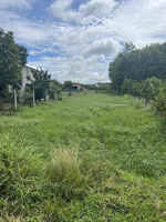 ngay trung tâm củ chi tp.hcm. dt 1160m2 giá 1tỷ250tr sổ hồng riêng, pháp lý rõ ràng minh bạch