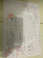 chính chủ bán đất thông đạt, liệp nghĩa, quốc oai. diện tích 185m2 có thể chia 2 lô, giá 26tr/m2