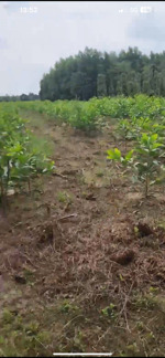 cần bán nhanh 6,4 sào đất dự án hồ chứa nước sông ray 2. lh 