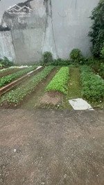 chính chủ cần tiền bán thị trấn phúc thọ dt 44,5m ô tô đổ cửa