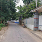 bán đất tại thôn trần phú, 4,5 tỷ, 3000m2, giá tốt hàng hiếm tại sông lô, vĩnh phúc