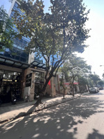 bán nhà 2 mặt tiền mặt phố linh lang - kim mã thượng, 160m2 x mt 30m. 76 tỷ.