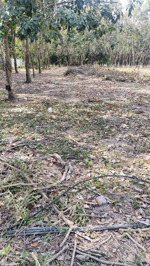 bán đất ngang 10m x 50m, có 227 thổ cư, đường nhựa