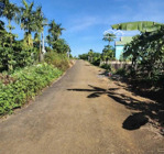 bán nhanh trong tuần xã hoà ninh, di linh, lâm đồng, 2,35 tỷ, 205m2 - chính chủ hàng hiếm