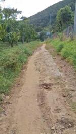 1,2HA = 500 TRIỆU / SÀO ĐƯỜNG PHAN HUY ÍCH, LỘC CHÂU, BẢO LỘC - CÓ BÁN LẺ