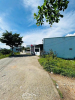 bán đất mặt tiền đường phú trung, xã vĩnh thạnh 460,8m² full thổ giá 13,5 tỷ, siêu đẹp